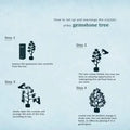 Crystal Tree Energy Stone and Crystal Money Tree Healing Crystal Tree of Life Gemstones Amethyst Crystals